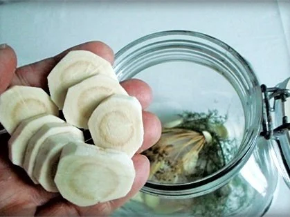 Salz-Dill Gurken nach Art des Hauses - Rezept - Bild Nr. 3