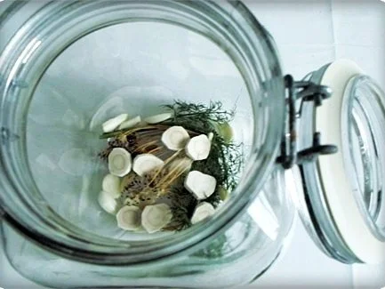 Salz-Dill Gurken nach Art des Hauses - Rezept - Bild Nr. 4