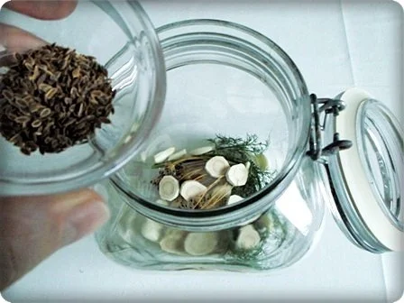 Salz-Dill Gurken nach Art des Hauses - Rezept - Bild Nr. 5