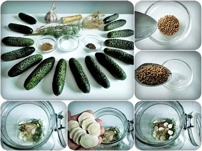 Salz-Dill Gurken nach Art des Hauses - Rezept - Bild Nr. 8
