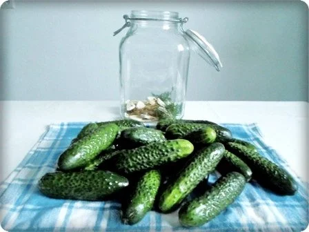 Salz-Dill Gurken nach Art des Hauses - Rezept - Bild Nr. 9