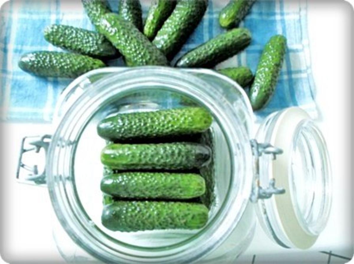 Salz-Dill Gurken nach Art des Hauses - Rezept - Bild Nr. 11