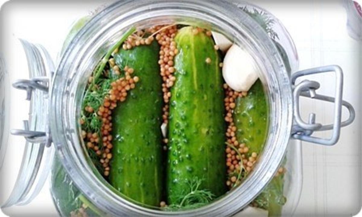 Salz-Dill Gurken nach Art des Hauses - Rezept - Bild Nr. 13