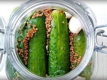 Salz-Dill Gurken nach Art des Hauses - Rezept - Bild Nr. 13