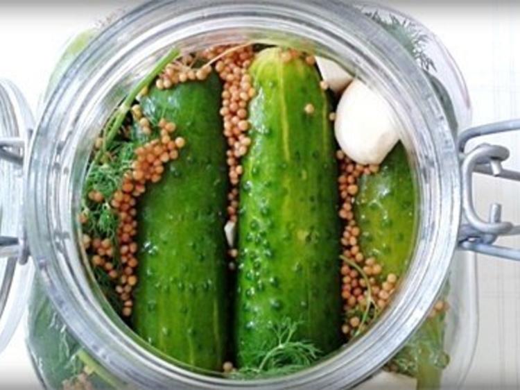 SalzDill Gurken nach Art des Hauses Rezept kochbar.de