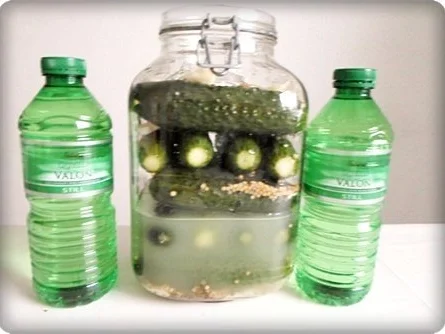 Salz-Dill Gurken nach Art des Hauses - Rezept - Bild Nr. 14