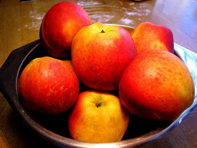 Apfelkuchen - einfach und ganz schnell gemacht - Rezept - Bild Nr. 2