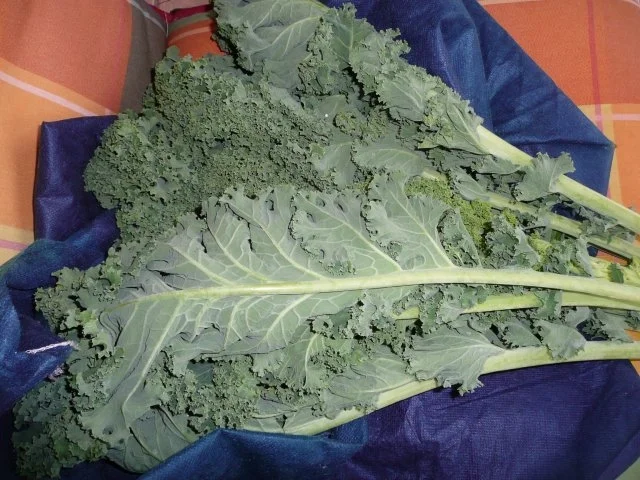 Grünkohl - Kartoffelstampf mit Gulasch und Karotten ! - Rezept - Bild Nr. 2