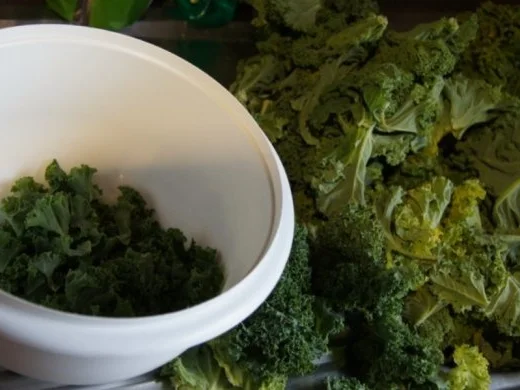 Rezept: Grünkohleintopf mit Nürnberger Rostbratwürstchen Bild Nr. 3 Grünkohleintopf mit Nürnberger Rostbratwürstchen - Rezept - Bild Nr. 3