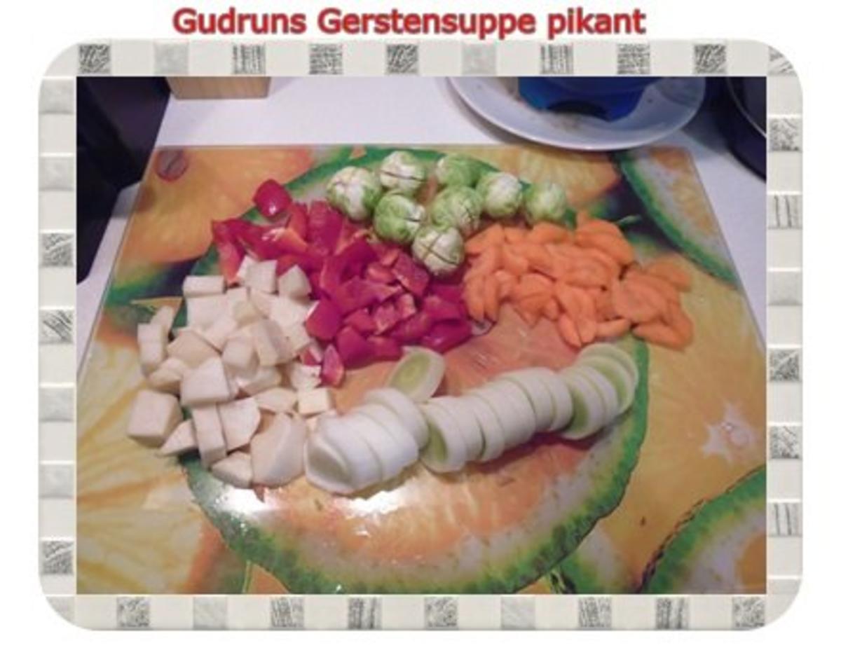 Suppe: Gerstensuppe pikant - Rezept - Bild Nr. 4