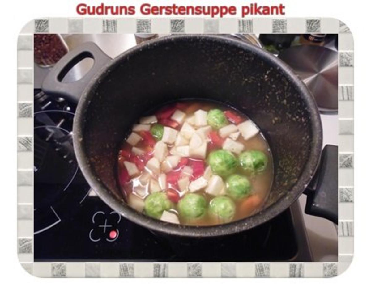 Suppe: Gerstensuppe pikant - Rezept - Bild Nr. 5