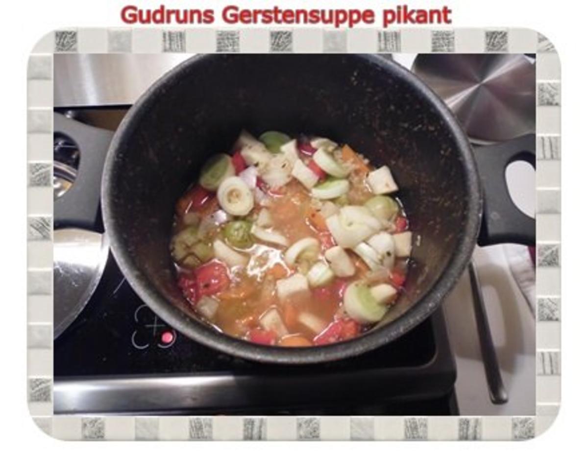Suppe: Gerstensuppe pikant - Rezept - Bild Nr. 7