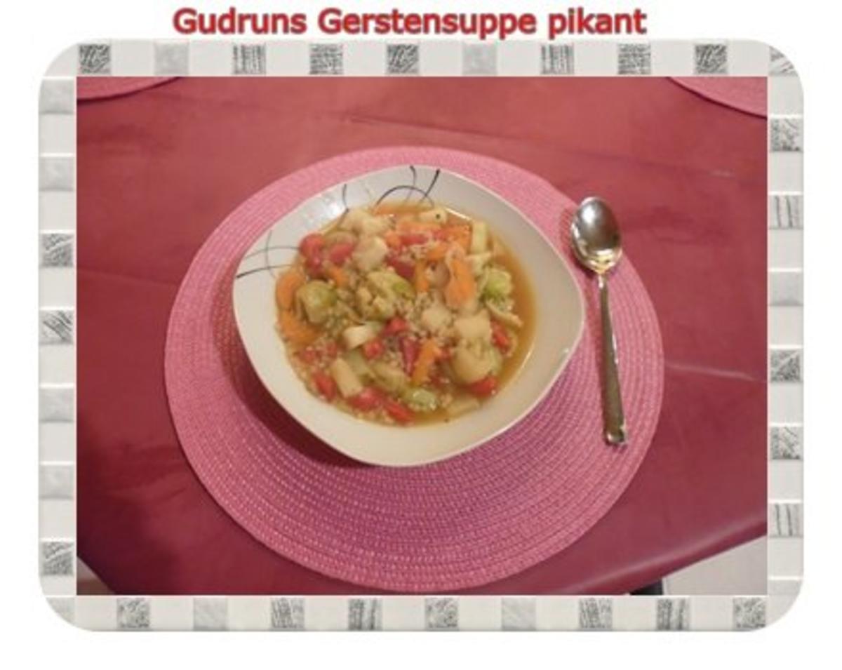 Suppe: Gerstensuppe pikant - Rezept - Bild Nr. 8