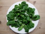 Feldsalat mit Essig-Balsamico-Soße - Rezept
