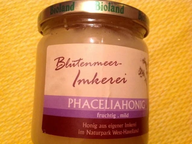 Rezept: Blaubeer-Dessert Bild Nr. 7 Blaubeer-Dessert - Rezept - Bild Nr. 7