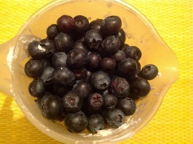 Rezept: Blaubeer-Dessert Bild Nr. 8 Blaubeer-Dessert - Rezept - Bild Nr. 8