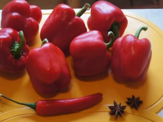 Köfte mit Paprikasauce und Jogurt - Rezept - Bild Nr. 3