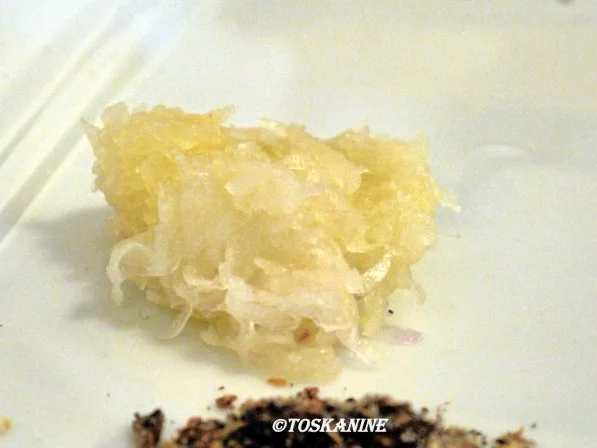 Rezept: Chicken Korma Bild Nr. 5 Chicken Korma - Rezept - Bild Nr. 5