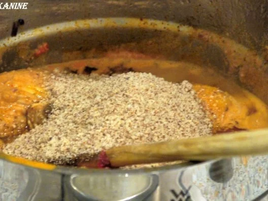 Rezept: Chicken Korma Bild Nr. 11 Chicken Korma - Rezept - Bild Nr. 11