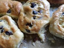 Haferkleie Rosinen Schnecken - Rezept