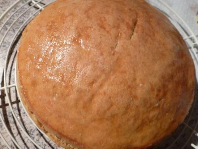 Rezept: Sauerteig-Dinkelbrot Bild Nr. 9 Sauerteig-Dinkelbrot - Rezept - Bild Nr. 9