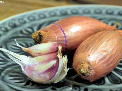 Kürbis-Apfel-Suppe - Rezept - Bild Nr. 5