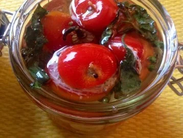 eingelegte gefüllte Tomaten - Rezept - Bild Nr. 6