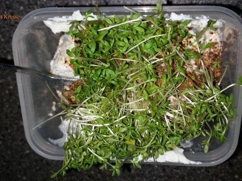Milchproduckte: Kräuterquark mit frischer Gartenkresse 04 - Rezept - Bild Nr. 2