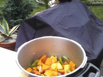 Thai Kürbis Kokosnuss Curry creme suppe ... - Rezept - Bild Nr. 4