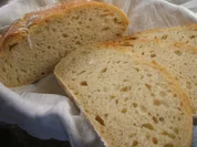 Brot/Brötchen: No-Knead-Bread - ein Trend aus USA - Rezept