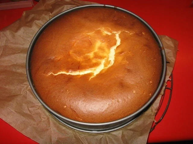 Käsekuchen mit Pfirsichen - Rezept - Bild Nr. 15