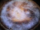 Weihnachtliche Apfel - Käse - Torte - Rezept