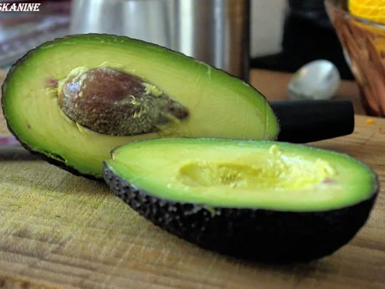 Rezept: Galettes Bretonnes mit Avocado-Creme und Hähnchenbrust Bild Nr. 4 Galettes Bretonnes mit Avocado-Creme und Hähnchenbrust - Rezept - Bild Nr. 4