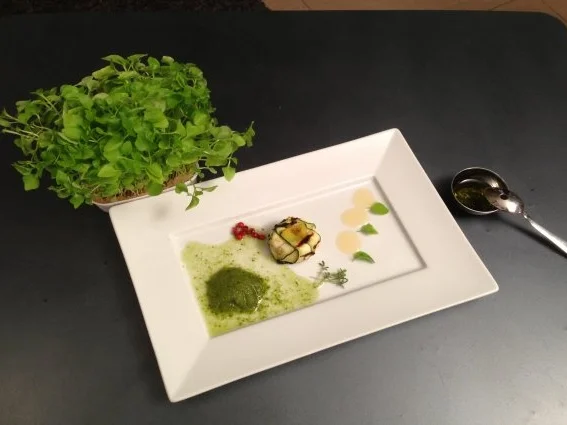 Ziegenkäse-Bonbons an Honigbalsamico und Kräutersorbet - Rezept