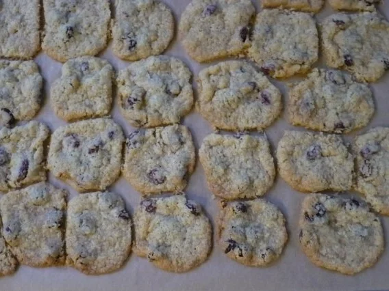 Kokos - Rosinen - Kekse - Rezept - Bild Nr. 6