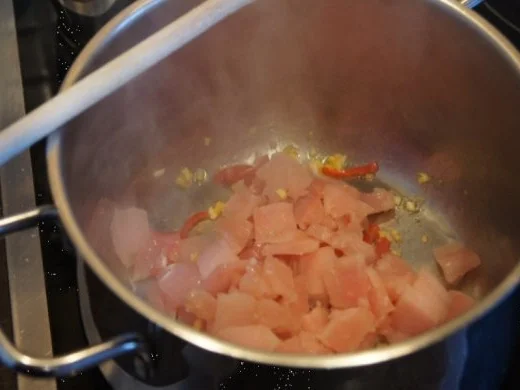 Asiatischer Hähnchenbrustfilet-Gemüseeintopf - Rezept - Bild Nr. 7