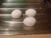 Omelettes speziale - Rezept