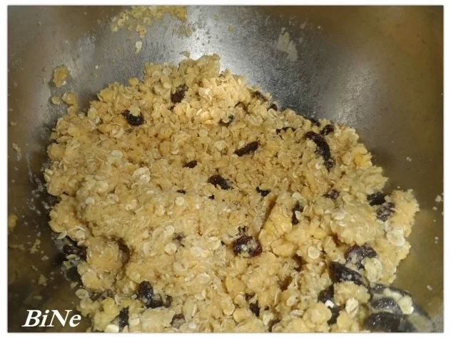 BiNe` S MAKRONEN MIT HAFERFLOCKEN & ROSINEN - Rezept - Bild Nr. 5