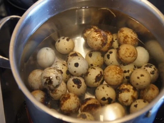 Eiersalat mit Wachteleiern - Rezept - Bild Nr. 3