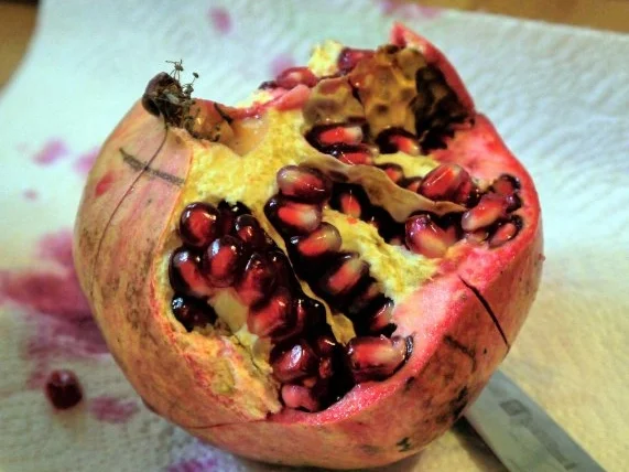 Granatapfel-Hähnchen - Rezept - Bild Nr. 7