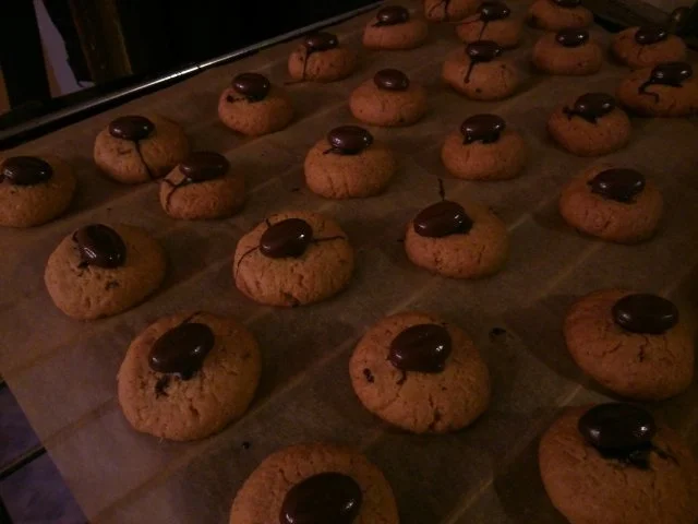 Java-Keckse, knusprig, luftig,schön mürbe und lecker! - Rezept - Bild Nr. 2