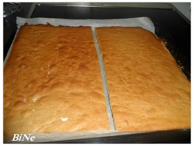 Rezept: BiNe` S DOMINOSTEINE Bild Nr. 7 BiNe` S DOMINOSTEINE - Rezept - Bild Nr. 7