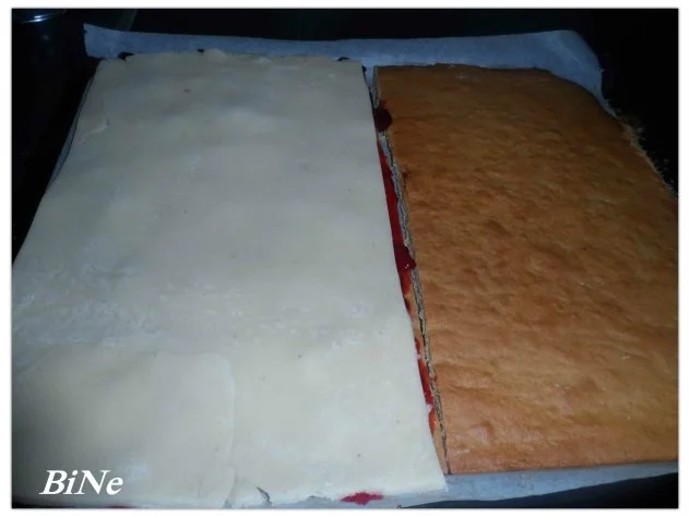 Rezept: BiNe` S DOMINOSTEINE Bild Nr. 9 BiNe` S DOMINOSTEINE - Rezept - Bild Nr. 9