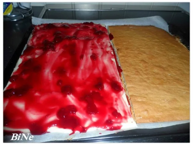 Rezept: BiNe` S DOMINOSTEINE Bild Nr. 10 BiNe` S DOMINOSTEINE - Rezept - Bild Nr. 10