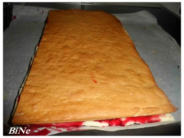 Rezept: BiNe` S DOMINOSTEINE Bild Nr. 11 BiNe` S DOMINOSTEINE - Rezept - Bild Nr. 11