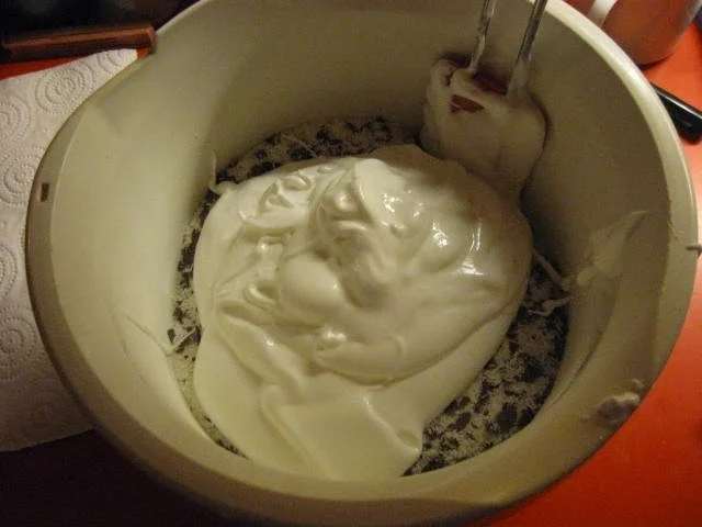 Rezept: Kokos-Schoko-Makronen Bild Nr. 5 Kokos-Schoko-Makronen - Rezept - Bild Nr. 5