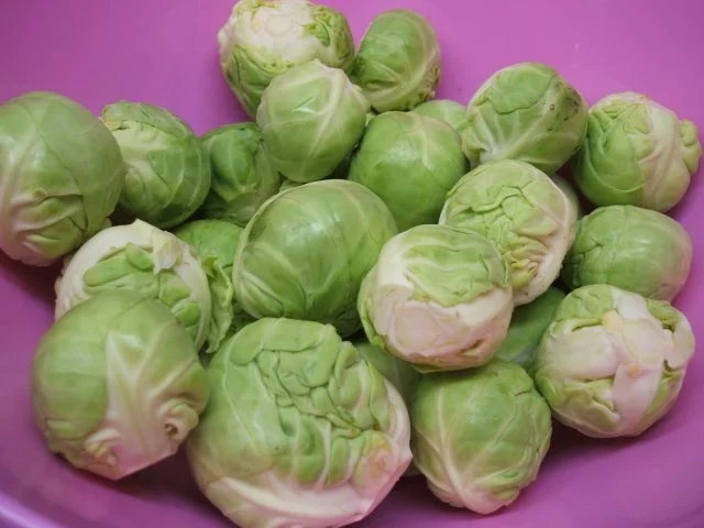 Rezept: Suppen: Eintopf ohne Kohlenhydrate mit Rinderzunge Bild Nr. 9 Suppen: Eintopf ohne Kohlenhydrate mit Rinderzunge - Rezept - Bild Nr. 9