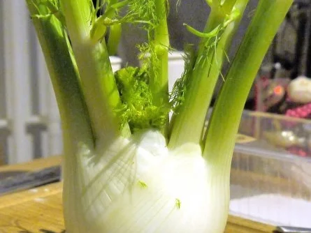 Rezept: Würzige Hähnchenschenkel auf Fenchel-Tomaten-Gemüse Bild Nr. 2 Würzige Hähnchenschenkel auf Fenchel-Tomaten-Gemüse - Rezept - Bild Nr. 2