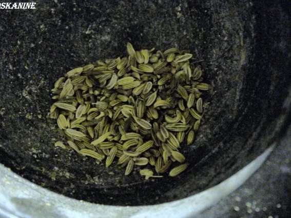 Rezept: Würzige Hähnchenschenkel auf Fenchel-Tomaten-Gemüse Bild Nr. 6 Würzige Hähnchenschenkel auf Fenchel-Tomaten-Gemüse - Rezept - Bild Nr. 6