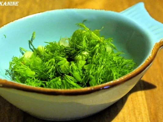 Rezept: Würzige Hähnchenschenkel auf Fenchel-Tomaten-Gemüse Bild Nr. 11 Würzige Hähnchenschenkel auf Fenchel-Tomaten-Gemüse - Rezept - Bild Nr. 11